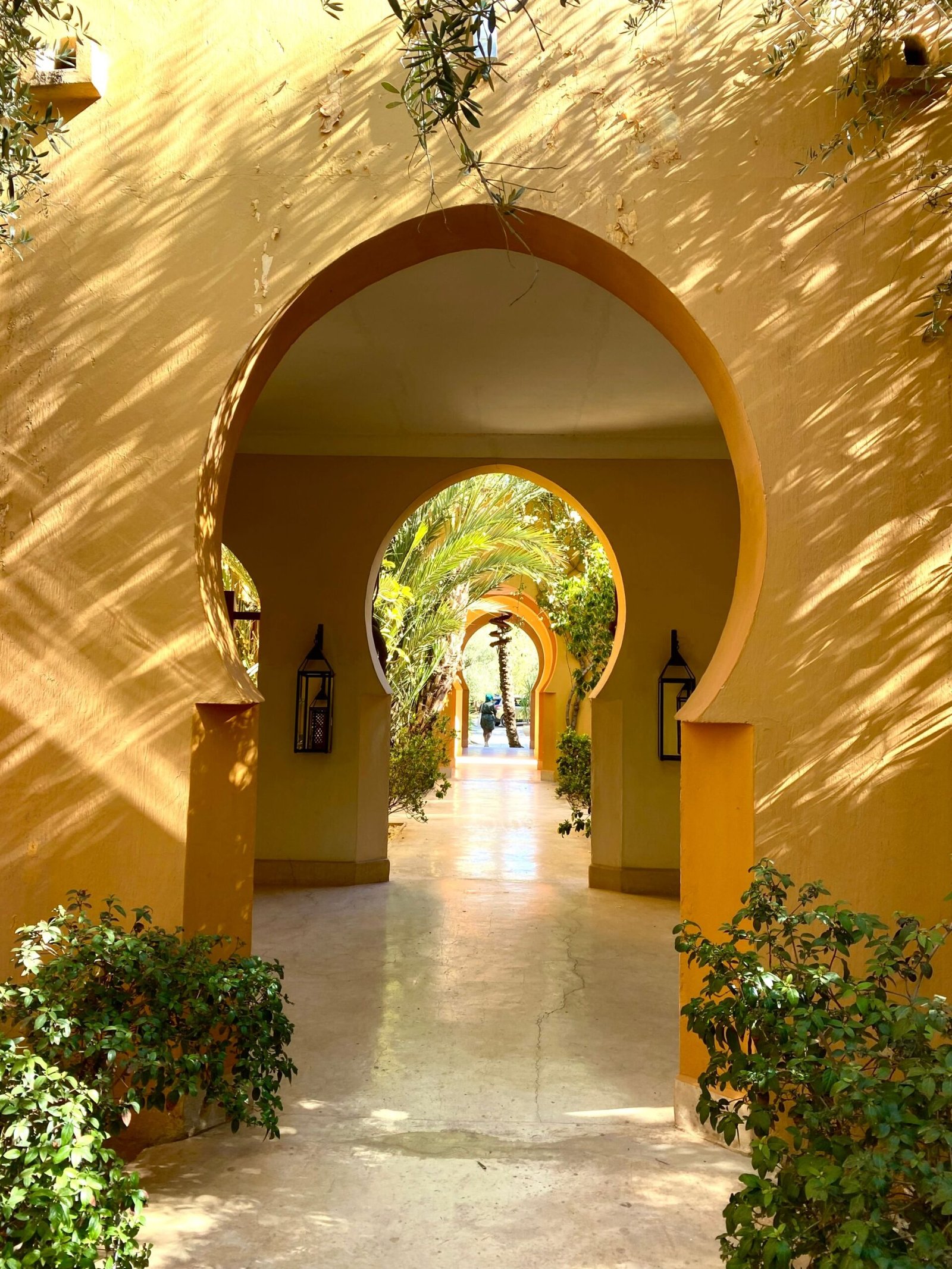 Multiple yellow arches with protruding plants and shadows in a Moroccan villa