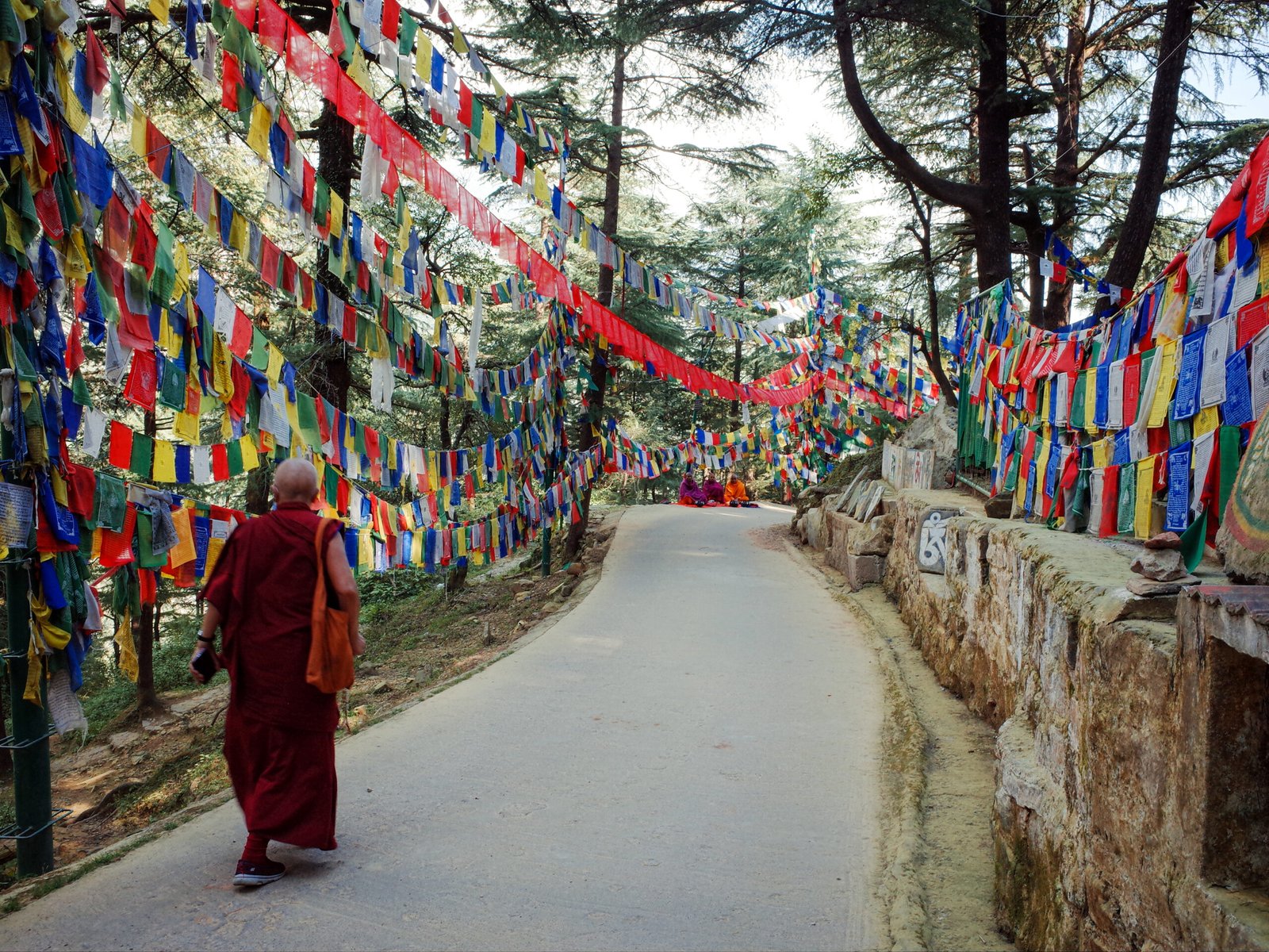 A Buddhist monk dressed in red walks along a quiet street in Dharamshala, surrounded by colorful Tibetan prayer flags fluttering in the wind. This peaceful scene from rural India captures the essence of intentional travel — slowing down, noticing small details, and connecting with the calm rhythm of local life in the Himalayas.