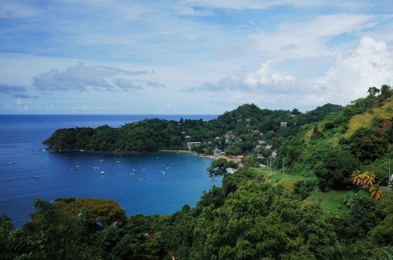 Aerial image of boats by the beach, the coast and buildings in Tobago
