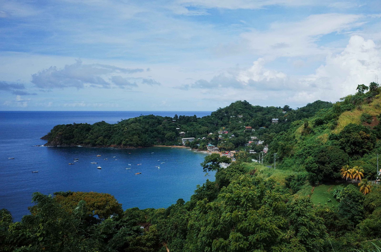 Aerial image of boats by the beach, the coast and buildings in Tobago