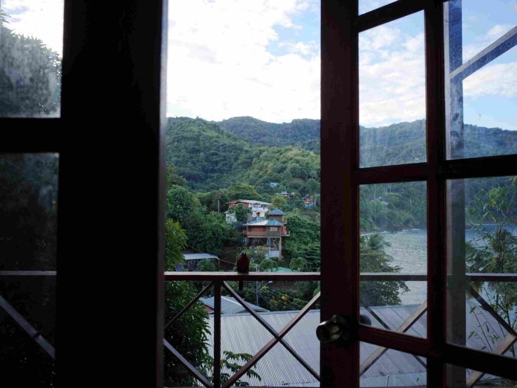a bird staring into an apartment in castara tobago