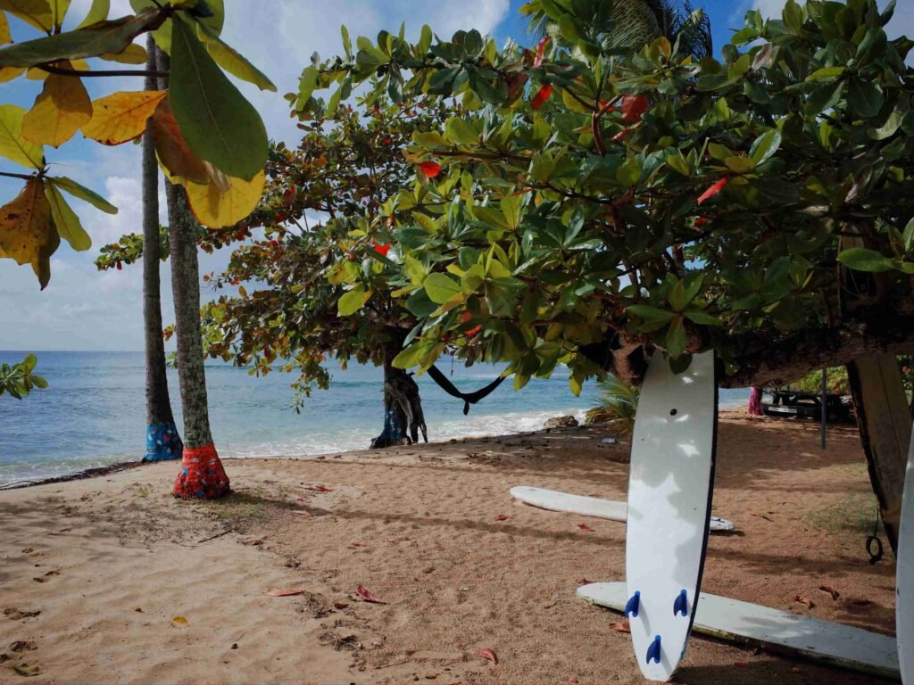 a beach in tobago with some palm trees, surfboard and sand