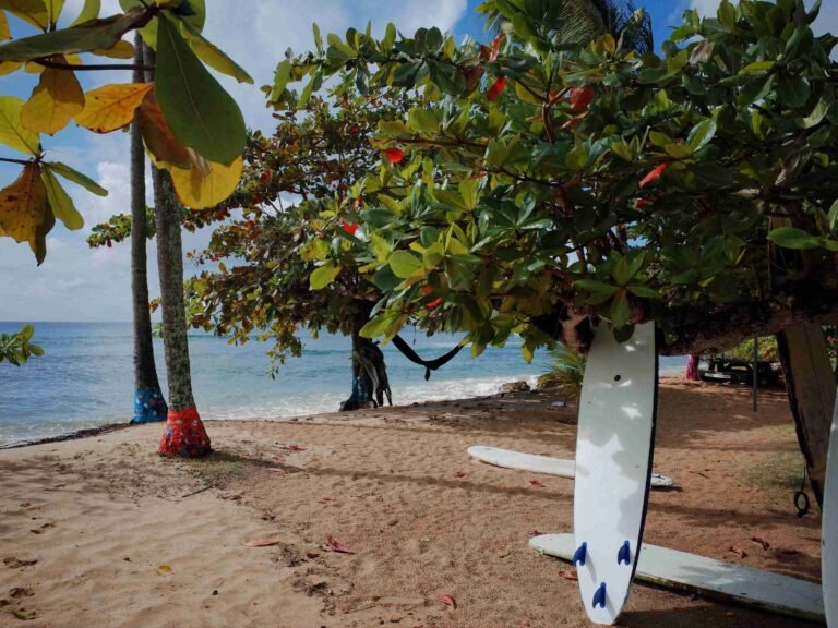 a beach in tobago with some palm trees, surfboard and sand