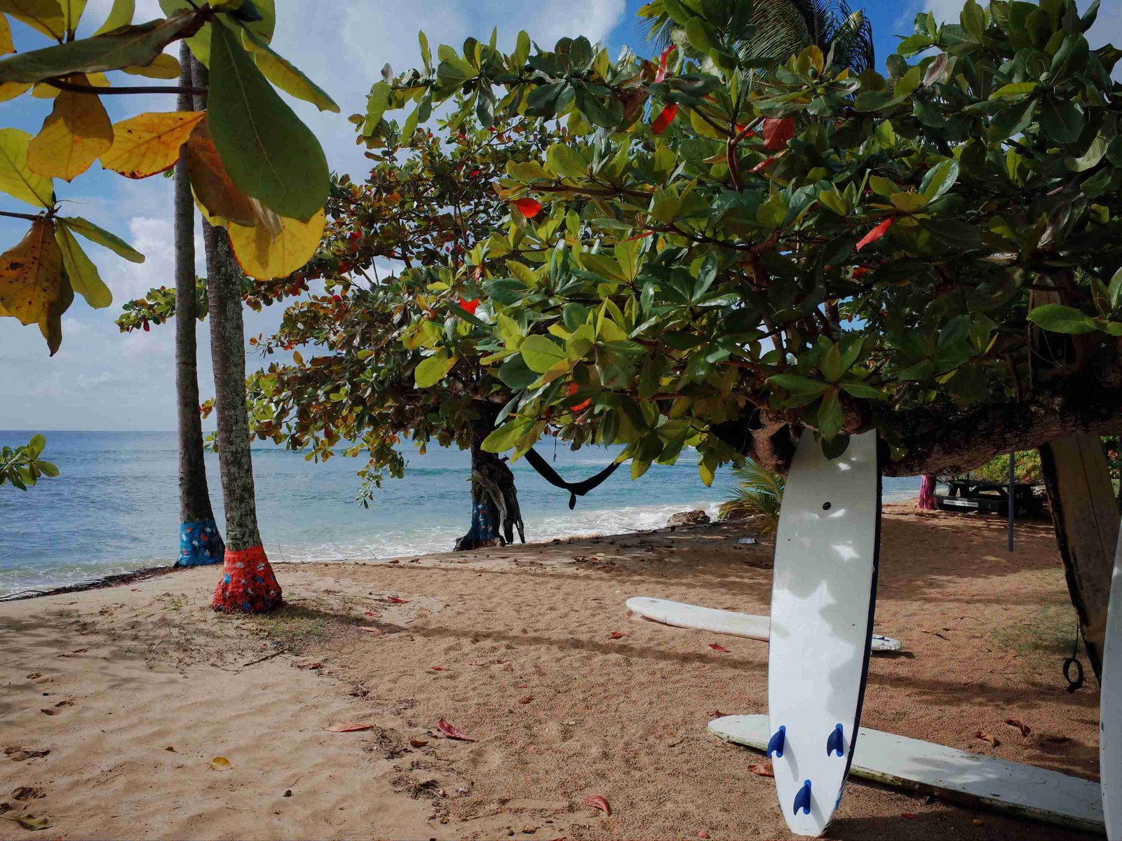 a beach in tobago with some palm trees, surfboard and sand