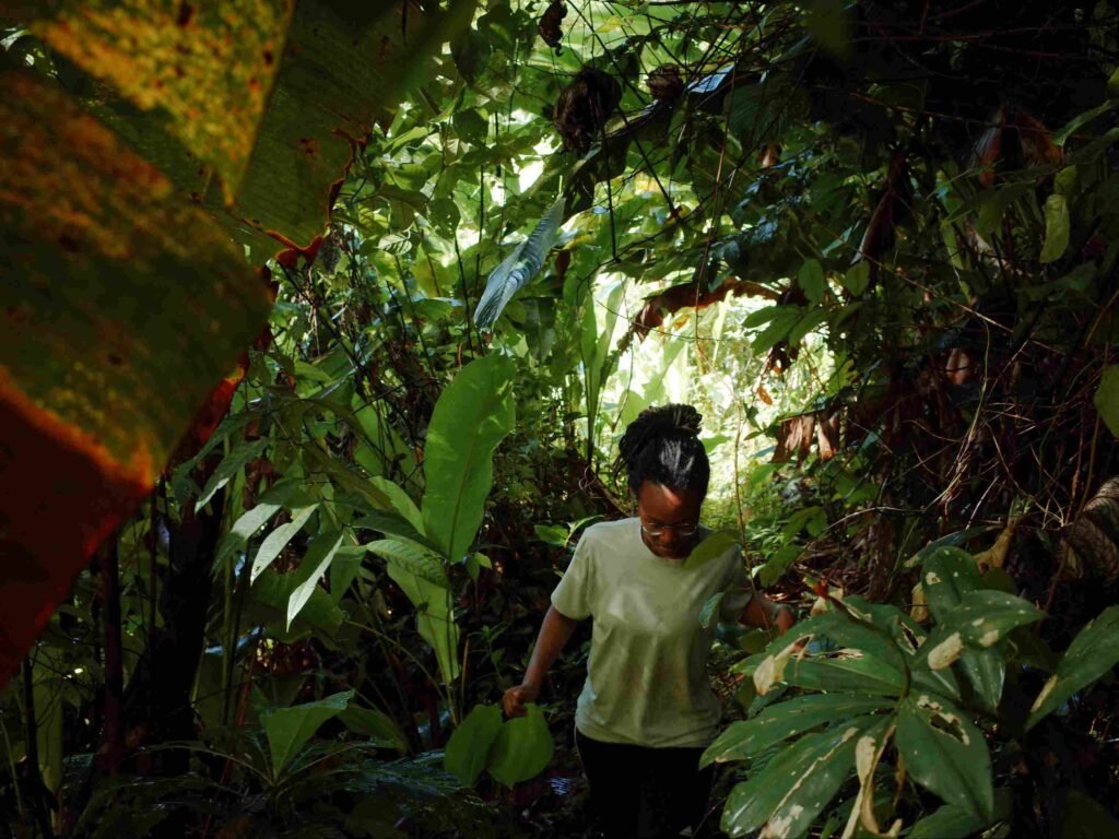 woman walking through dense forest in main ridge reserve in tobago