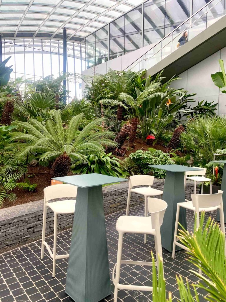 Seating area surrounded by tropical plants at Sky Garden