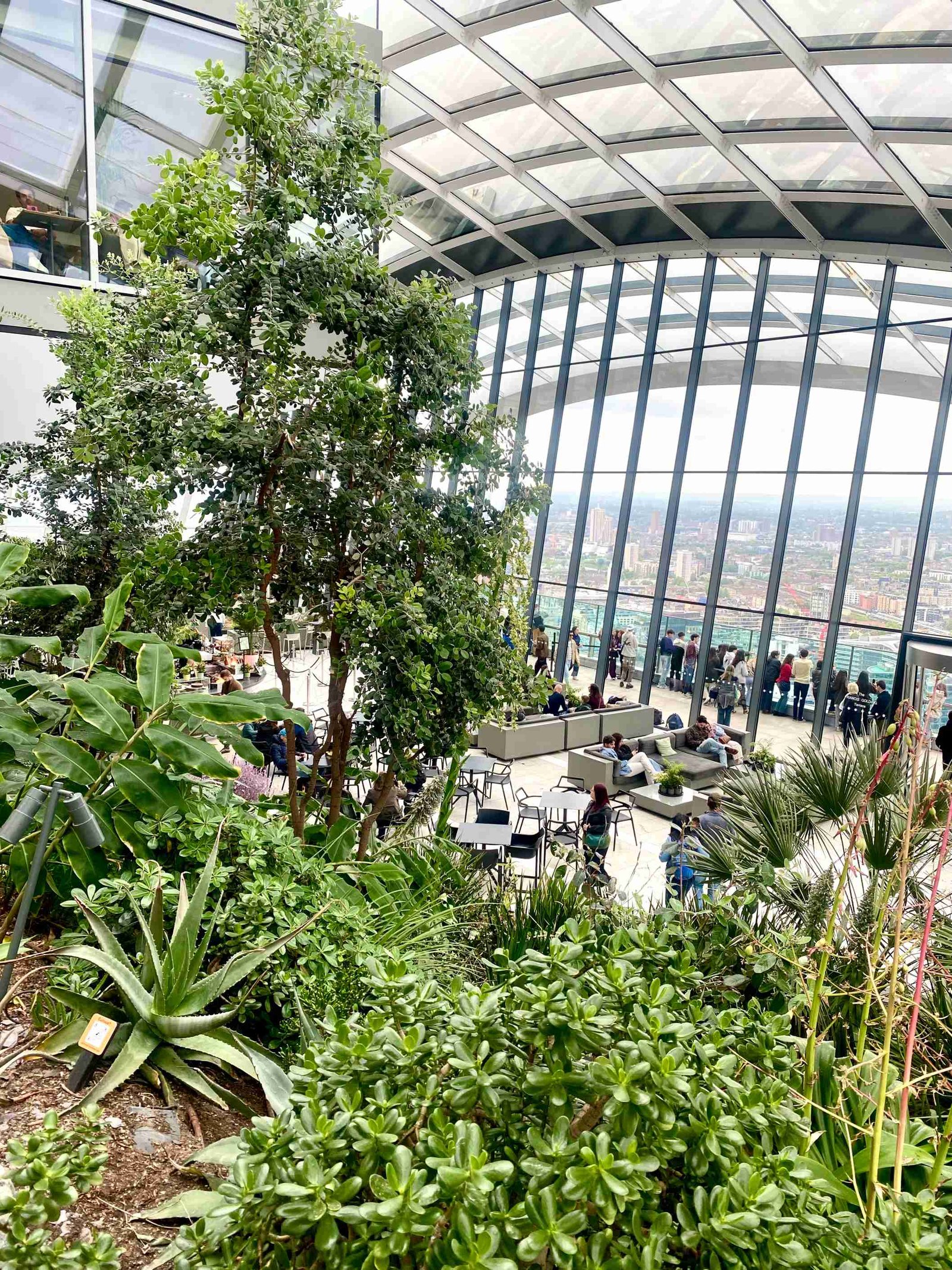 Visitors exploring Sky Garden's indoor gardens and viewing area